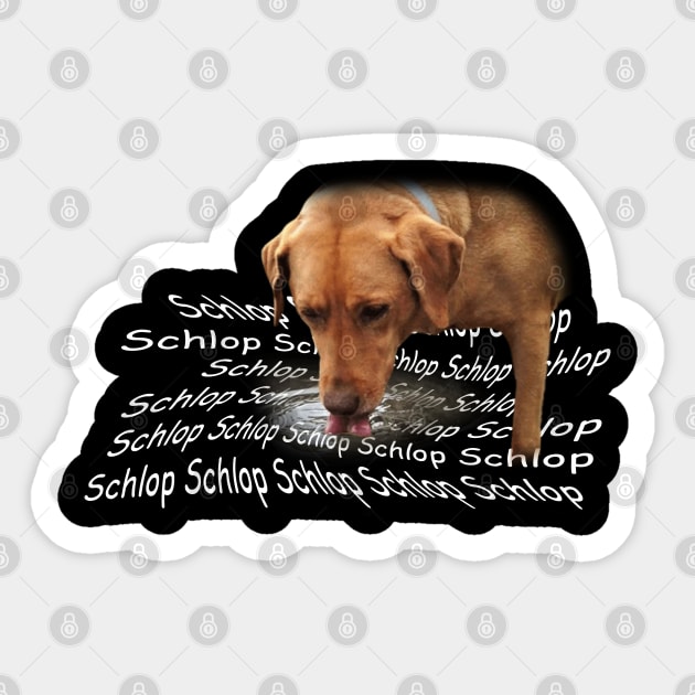 Schlop Dog Drinking Water Meme Dog Owner Sticker TeePublic